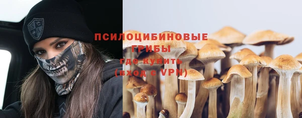 стаф Алексеевка